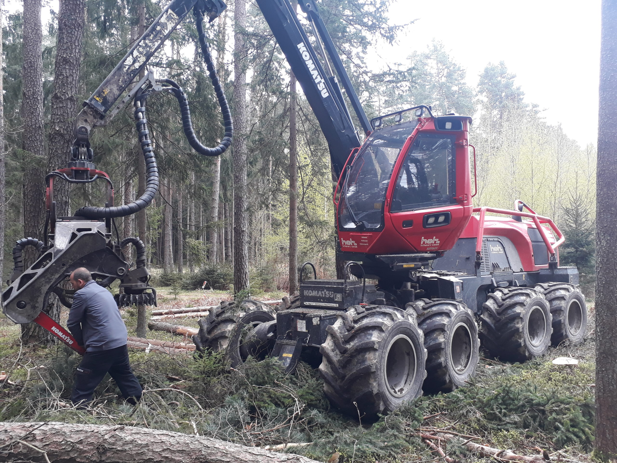 roter Harvester im Wald